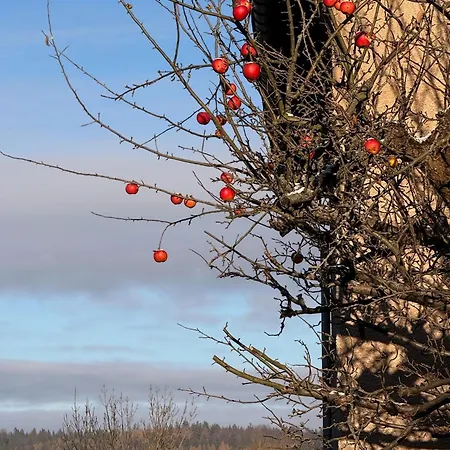 דירה Am Schloss Wolkenstein, 75m2, 2br, Babybett