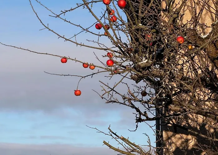 شقة Am Schloss Wolkenstein, 75m2, 2br, Babybett